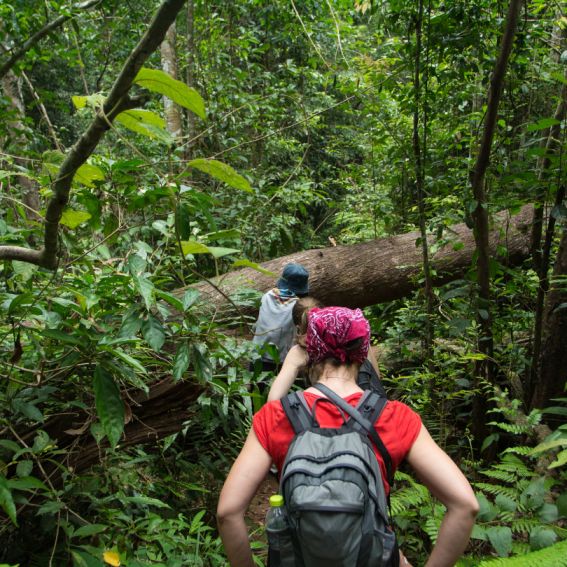 Mystical Marvels: Unveiling the Rainforests of Sri Lanka